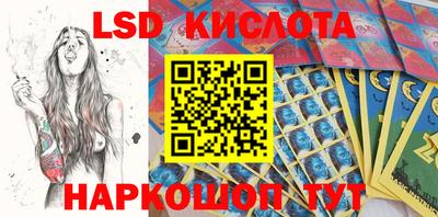 крисы Малгобек