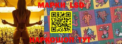 крисы Малгобек