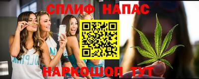 крисы Малгобек
