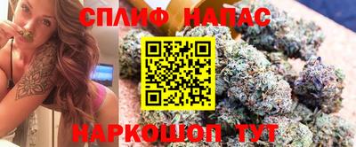 крисы Малгобек